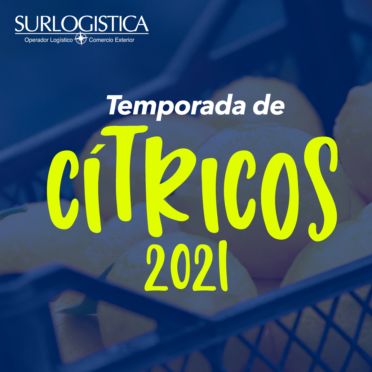 temporada-de-citricos-2021