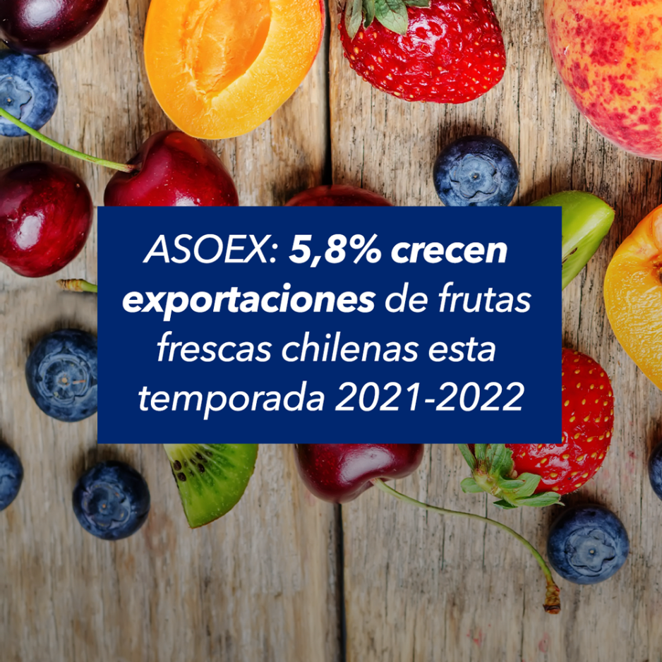 ASOEX: 5,8% crecen exportaciones de frutas frescas chilenas esta temporada 2021-2022​