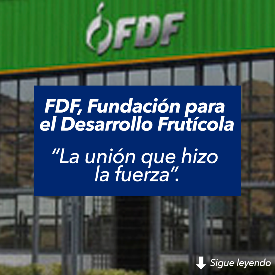 FDF Fundación para el Desarrollo Frutícola, “La unión que hizo la fuerza”.